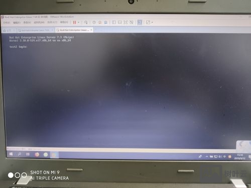 linux 命令行打开网页