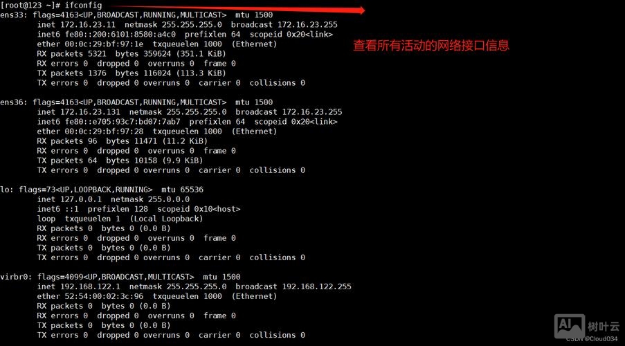 linux 命令行打开网页