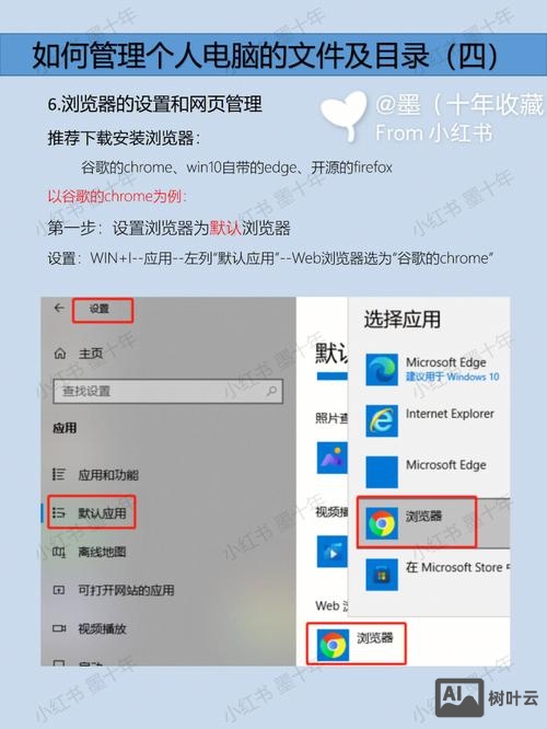 dw如何设置浏览器