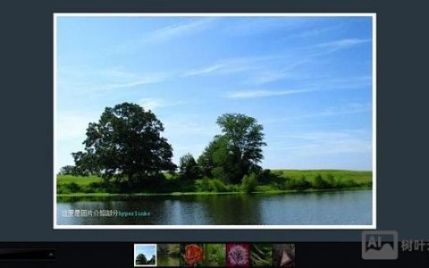 Flash XML在线相册如何用?