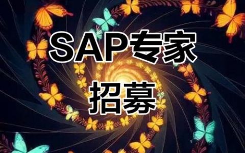 SAP DS招聘要求有哪些?