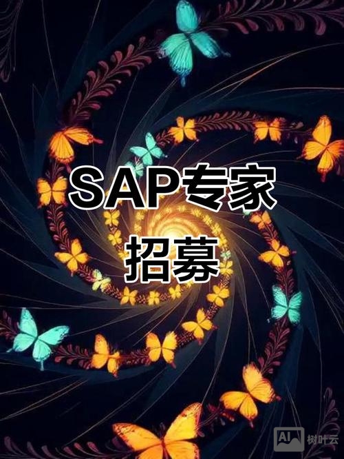 sap ds招聘