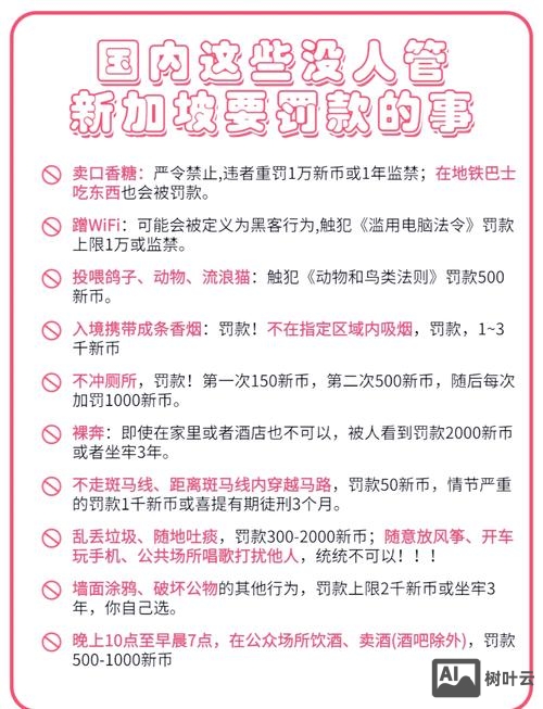 新加坡如何治老赖