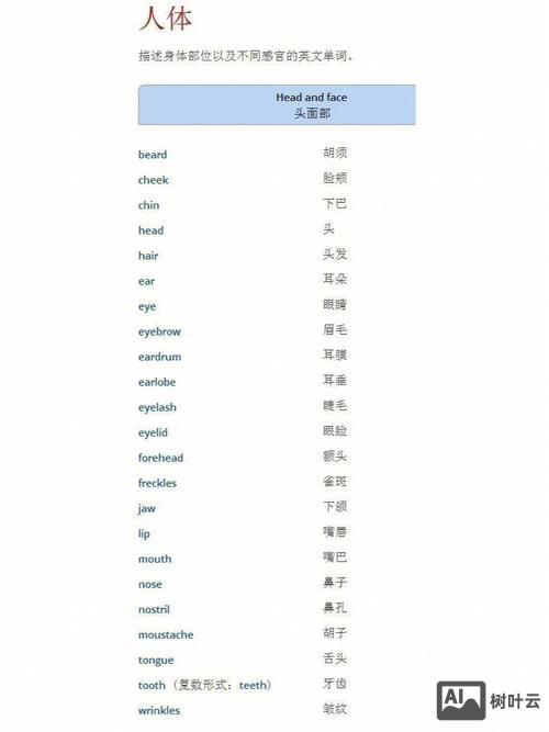 他感觉如何英语怎么写