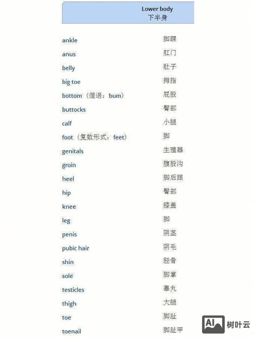 他感觉如何英语怎么写