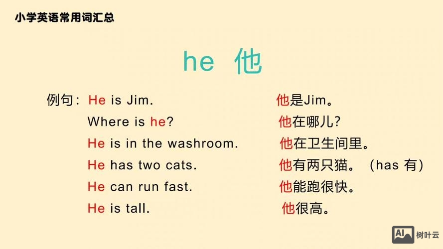 他感觉如何英语怎么写