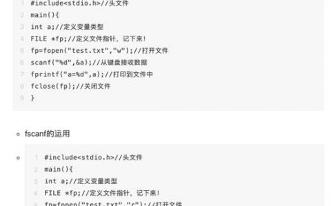 C语言命令行参数如何正确输入与处理？