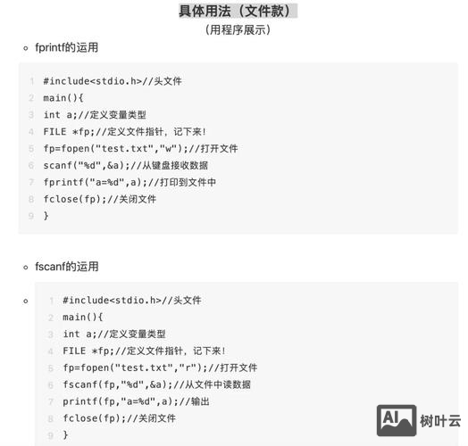 c语言命令行参数输入