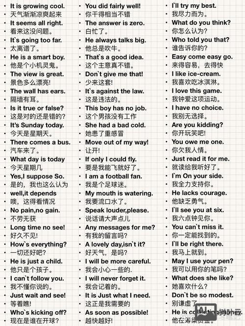 如何看待汉外混用词