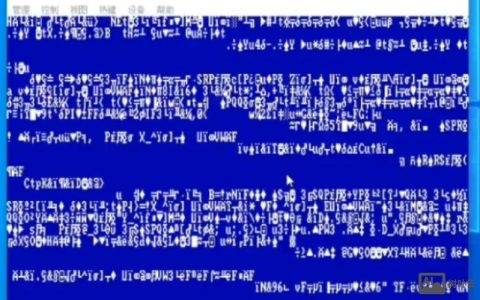 Debian8命令行乱码如何解决？