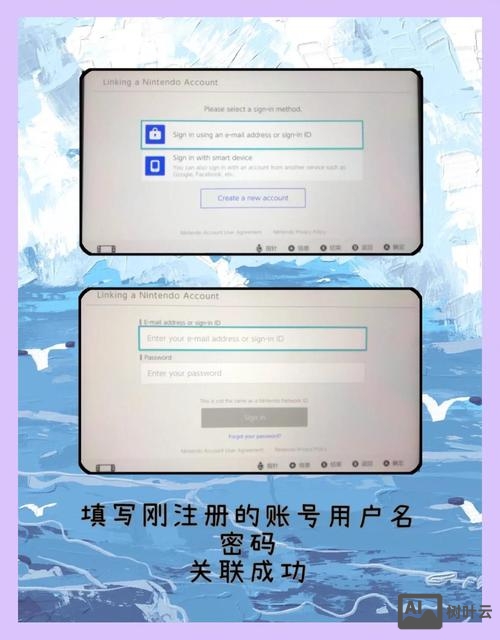 如何查看.cn域名ns记录