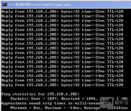 cmd下ping命令不能用