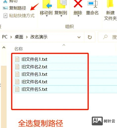 cmd命令修改文件名