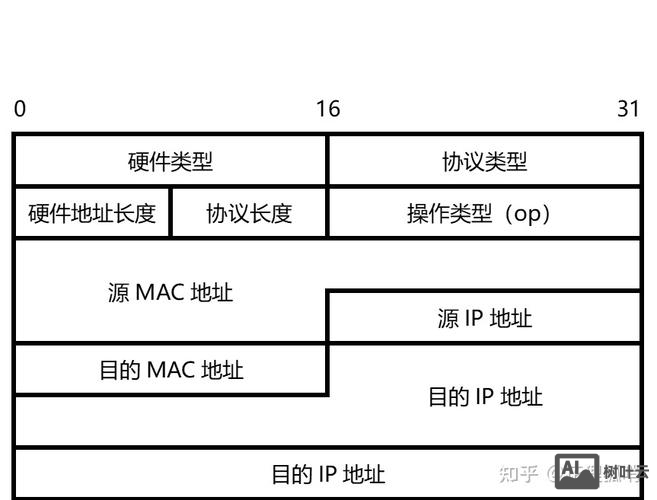 arp是网络层的命令