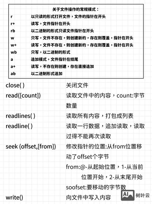 java命令行输入参数