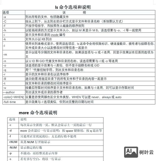 统一命令原则是