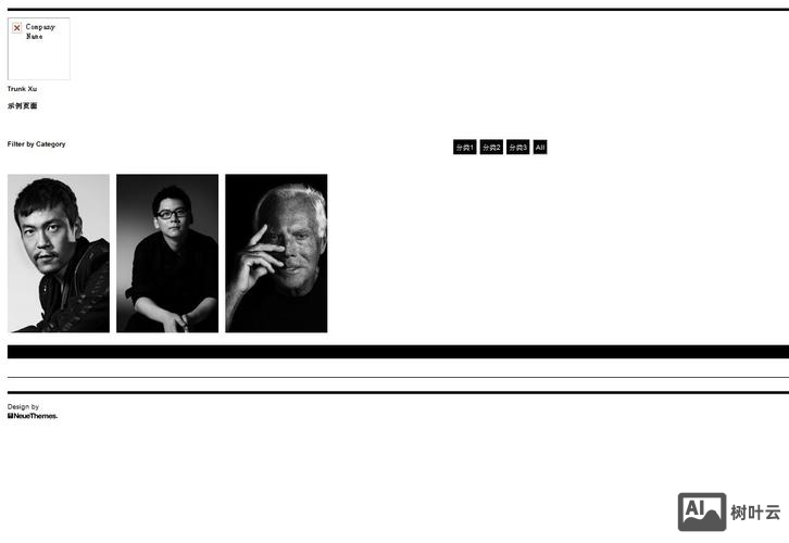 wordpress网页如何设置灰色边框