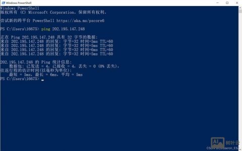 Windows中ping命令的-参数有何作用？