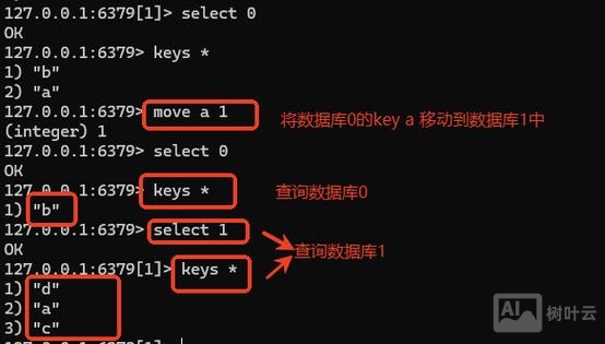 开启redis的命令行