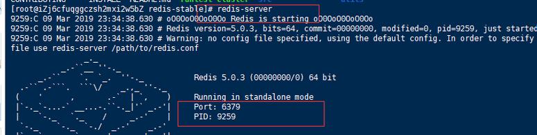 开启redis的命令行