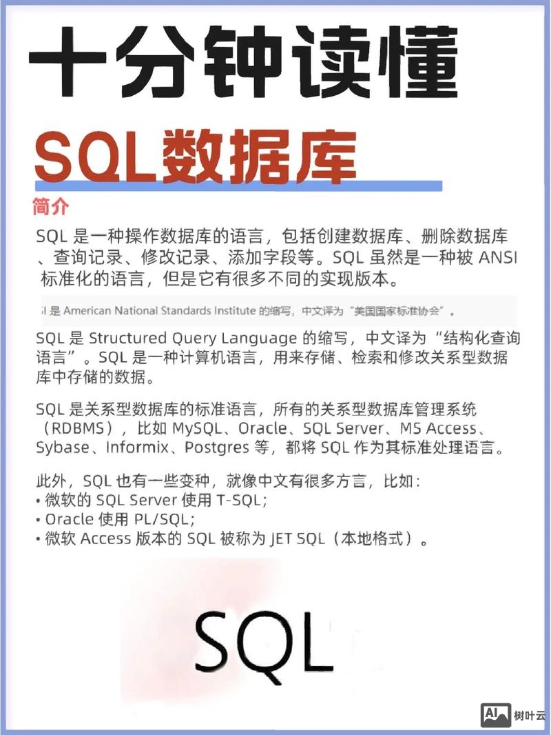 ssis变量中的 sql 命令