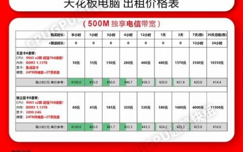 租服务器后具体怎么操作使用？