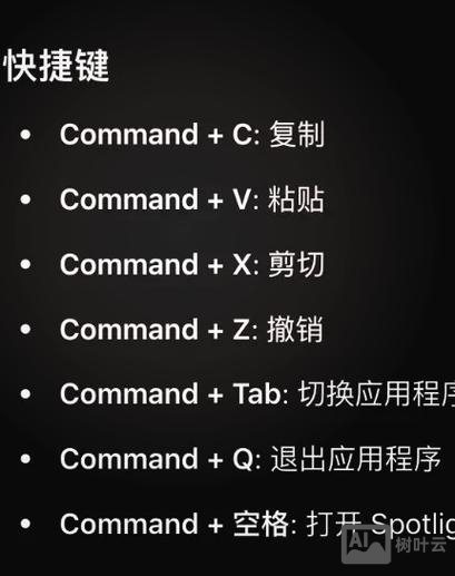 mac中终端命令是什么