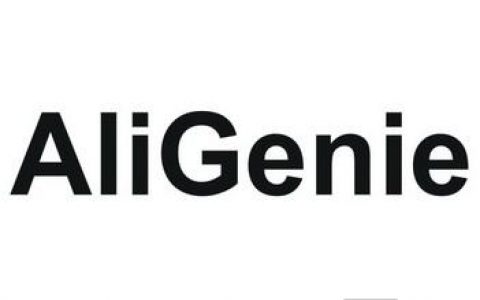 Aligenie招聘，岗位有何亮点？