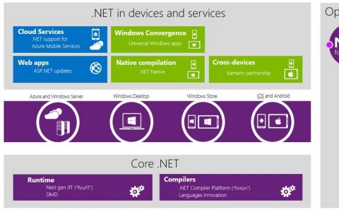 Compiler招聘要求有哪些？