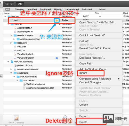 svn忽略文件夹 命令