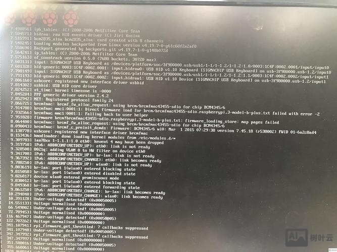 树莓派命令行启动