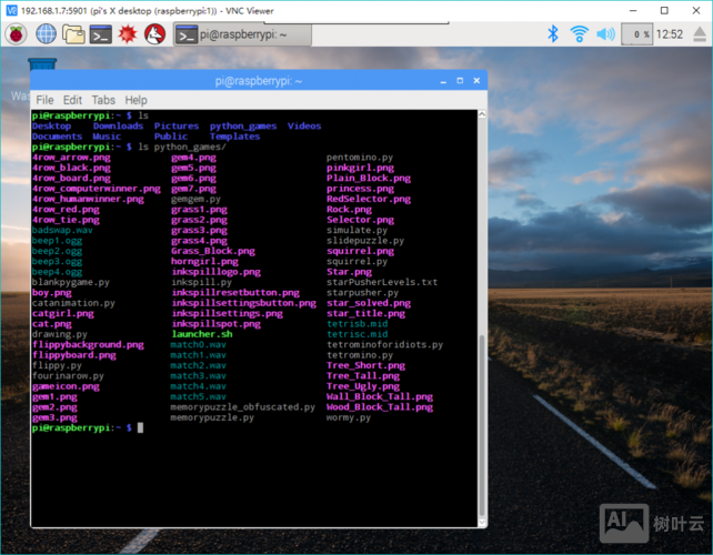 树莓派命令行启动