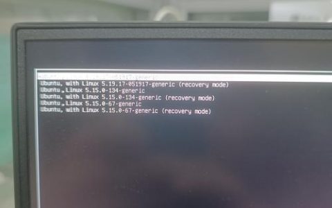Ubuntu如何进入命令行界面？