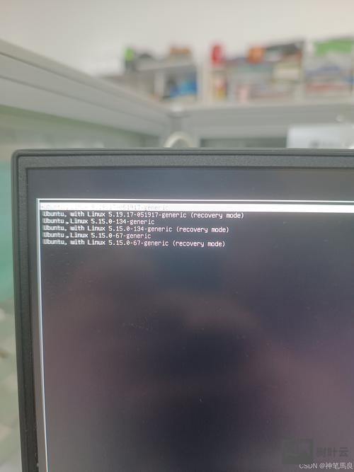 ubuntu 怎么进入命令行