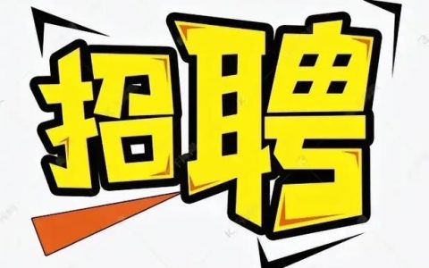 Visvsa招聘什么岗位？要求有哪些？