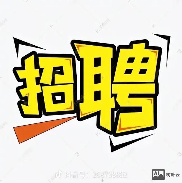 visvsa招聘