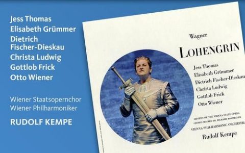 lohmann招聘什么岗位？要求有哪些？