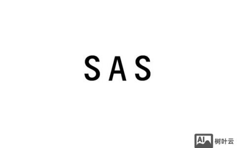 Sass招聘岗，薪资多少？要求哪些技能？