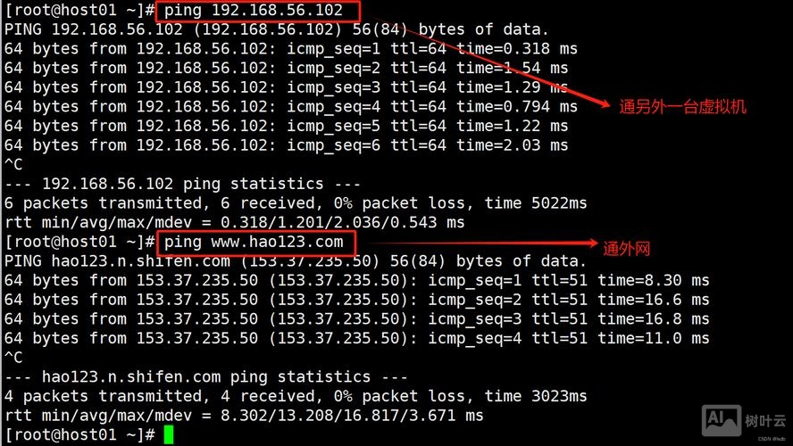 命令配置虚拟机网络