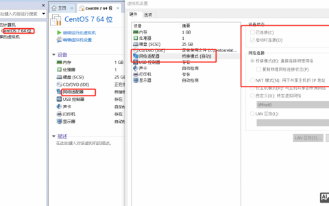 命令配置虚拟机网络，具体步骤是什么？