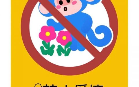 带命令的安全模式英文是什么?