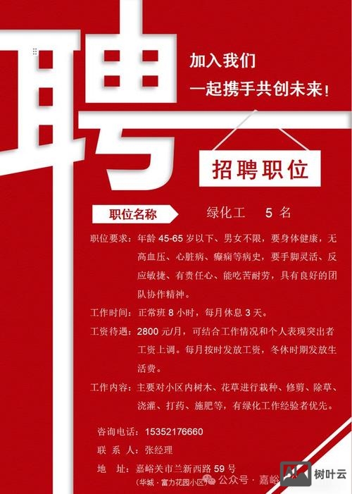 netease 招聘