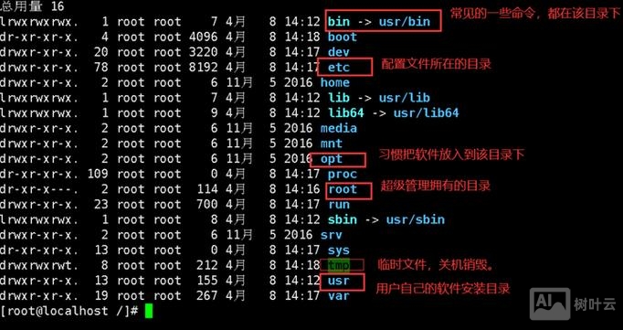 linux查看当前目录的命令