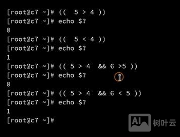 shell 命令赋值为变量赋值