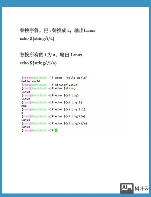 c语言 控制台命令
