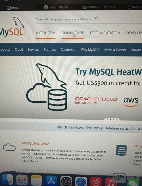 mac命令行关闭mysql