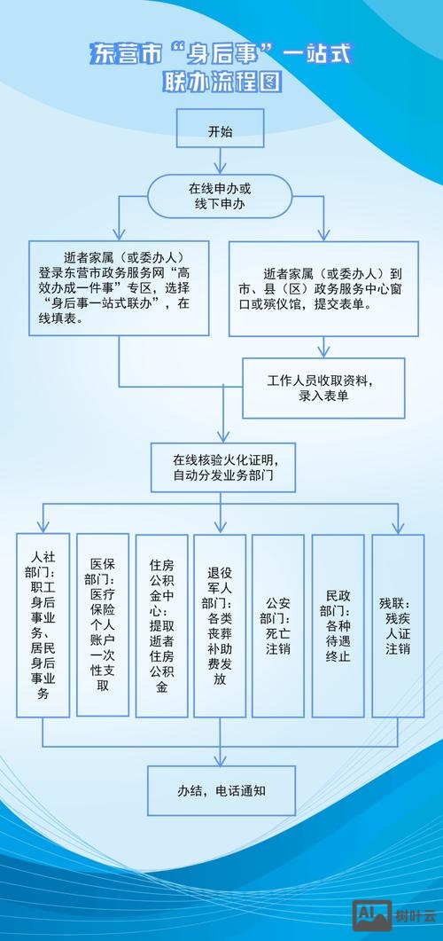 政府如何解决方案