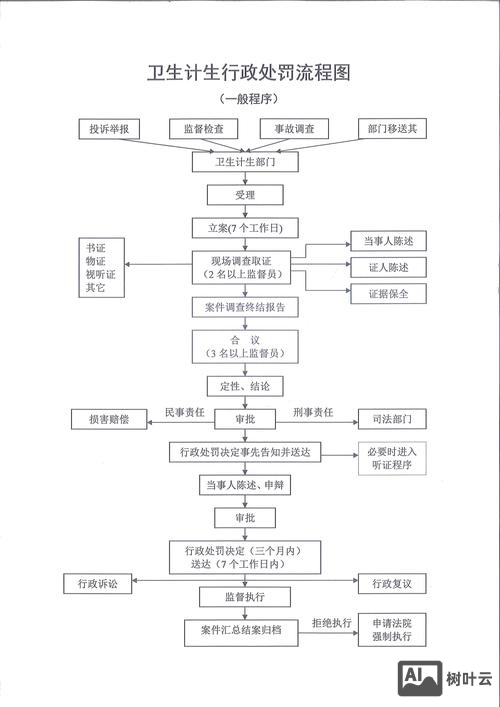 政府如何解决方案