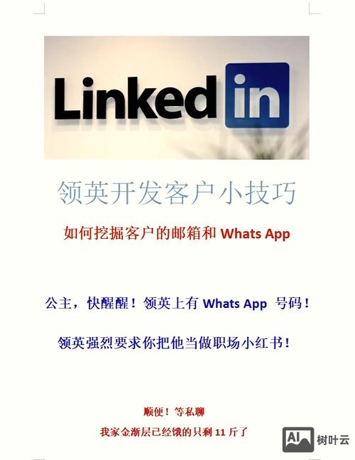 领英中如何搜索客户