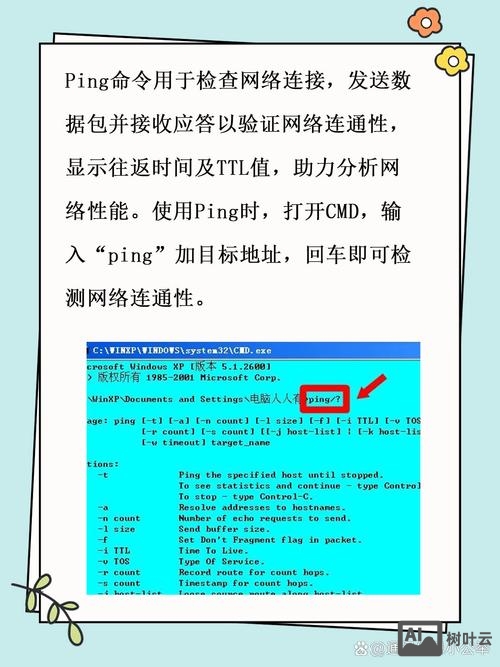 命令表示什么的动作